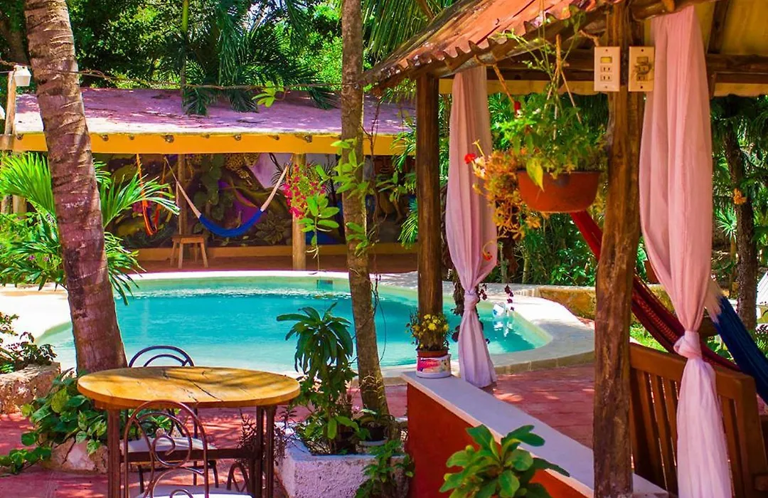Casa De Los Pajaros - B&B-1