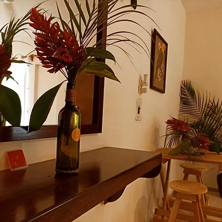 Casa De Los Pajaros - B&B-3
